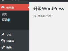WordPress升级失败提示“另一更新正在进行”的两种处理方式-奇客源码