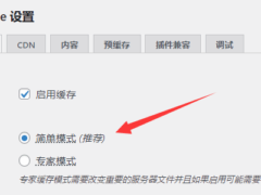 wordpress缓存插件Super Cache设置教程-奇客源码