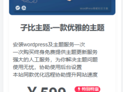 子比主题美化 – 主题推广小工具-奇客源码