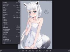 爱奇艺看图 v1.0.17.1465去广告-奇客源码