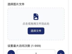 图片阅后自焚源码-奇客源码