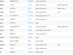 彩虹易支付快手支付插件-支持微信支付宝-奇客源码