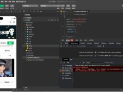 2025最新去水印小程序-免服务器，带流量主和安装教程-奇客源码
