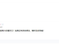 Wordpress插件-AI自动评论回复（对游客客户友好评论）-奇客源码