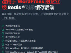 Wordpress插件-Redis Object Cache Pro v1.24.5-奇客源码