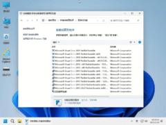 小修 Windows 11 Pro 25H2 26200.7019 稳定极限精简版 二合一-奇客源码