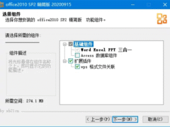 office 2003-2025 安装版/绿色精简版（2025.11.16）-奇客源码