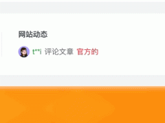 子比主题美化 – 网站统计动态小工具-奇客源码