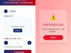 阅后自焚图片分享系统-奇客源码