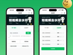 视频去水印小程序源码 – 支持二次开发流量主-奇客源码