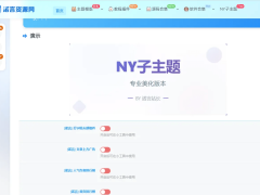 诺言子比子主题 NY1.6-全开源未加密版-奇客源码