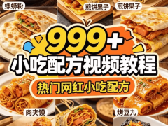 300份+各类摆摊小吃视频教程-奇客源码