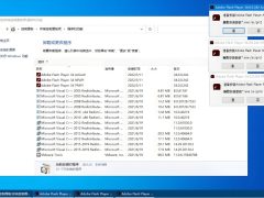 Adobe Flash Player （Flash插件）v34.0.0.384 去广告纯净版-奇客源码