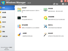 Windows Manager v2.4.1.1 中文绿色版-全能系统优化工具​-奇客源码
