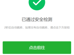 HTML源码 – 安全检测提示倒计时跳转-奇客源码