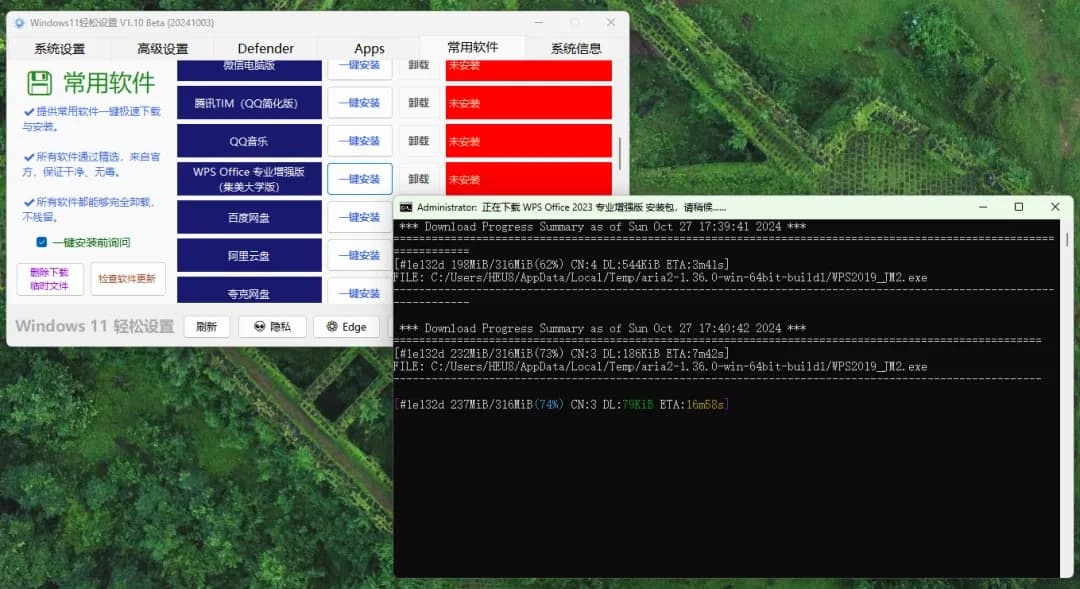 Windows11系统优化工具