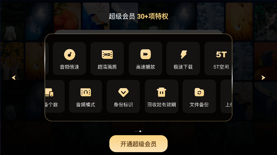百度网盘TV电视版-无广告蓝光秒播倍速(Android)