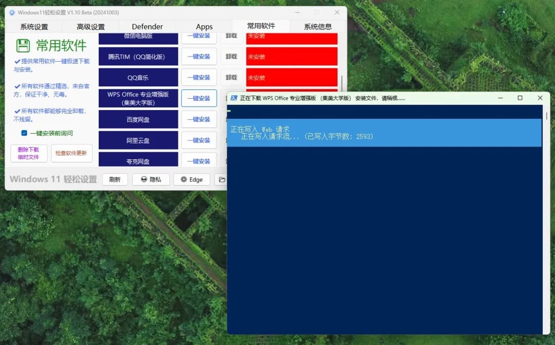 Windows11系统优化工具