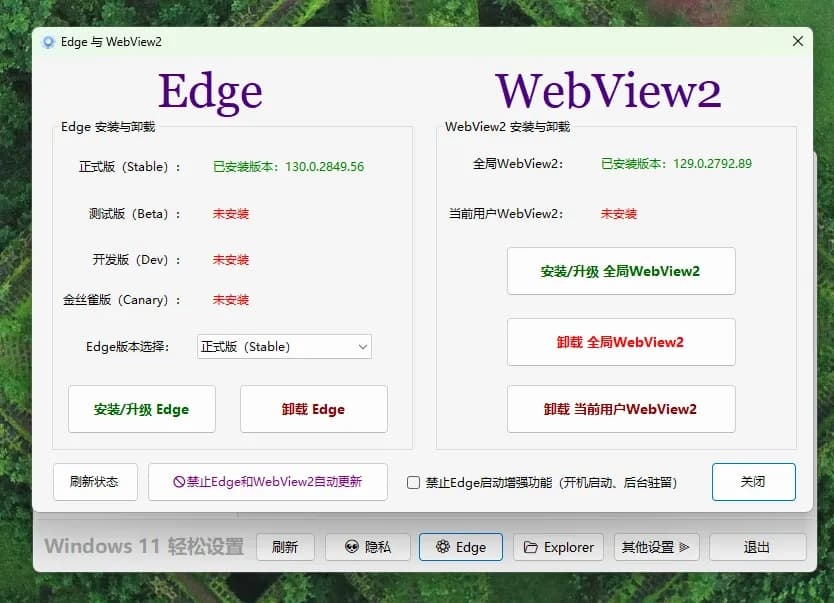 Windows11系统优化工具